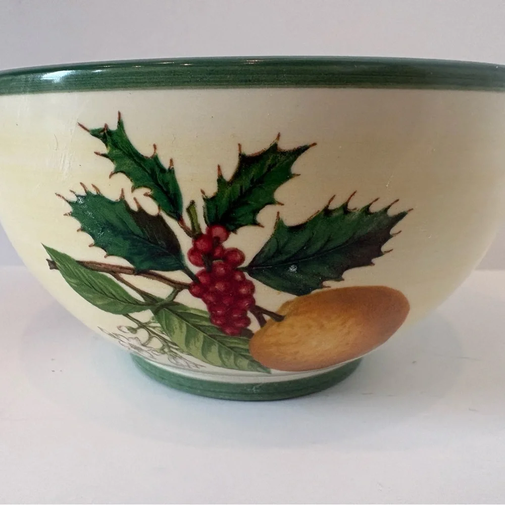 Villeroy & Boch French Noel Salad Rice Bowl Christmas Holiday 5 3/4” Fruit Nice